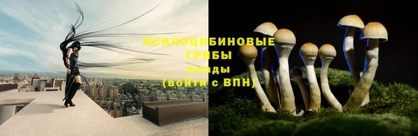 кокаин Дмитриев